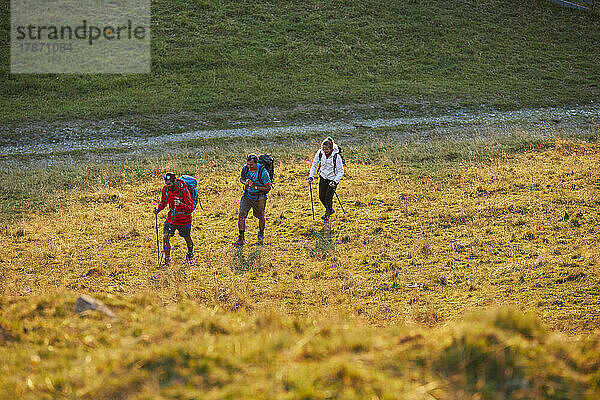 Freunde mit Rucksäcken wandern am Berg  Mutters  Tirol  Österreich