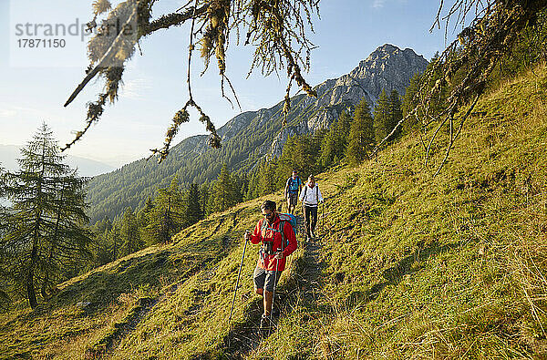 Wanderer mit Stöcken wandern am Berg  Mutters  Tirol  Österreich