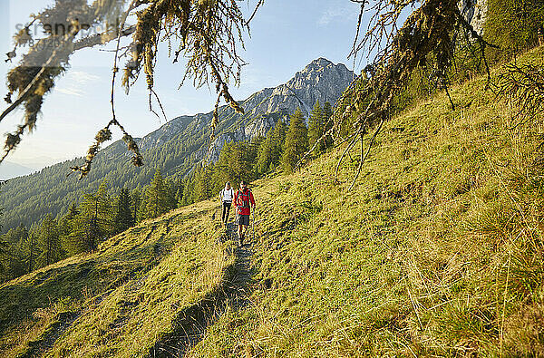 Freunde wandern auf Wanderweg am Berg  Mutters  Tirol  Österreich