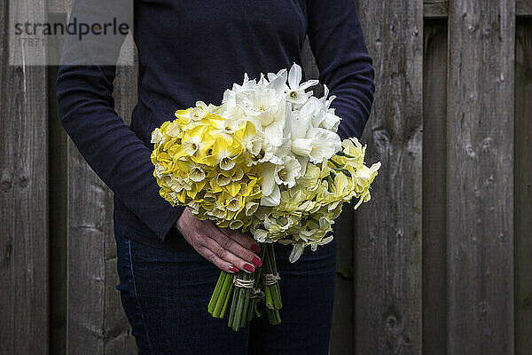 Mid section of woman holding bouquets of white and yellow bloomng daffodils