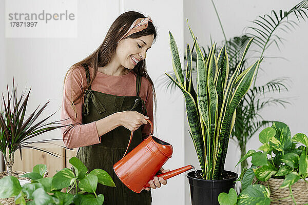 Glückliche Frau  die zu Hause Pflanzen gießt