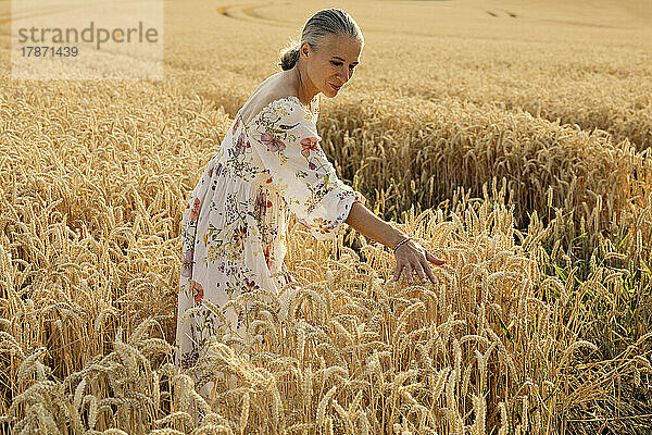 Ältere Frau berührt Weizenernte im Feld