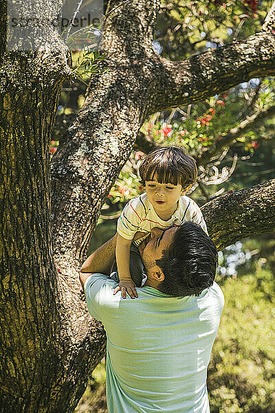 Glücklicher Vater mit Sohn  der im Park auf einem Baum spielt