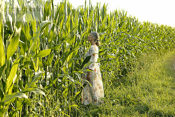 Ältere Frau im Sommerkleid steht vor einem Maisfeld
