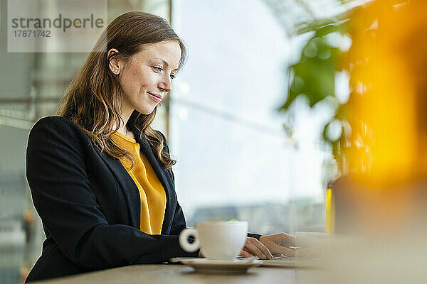 Lächelnde Geschäftsfrau benutzt Laptop im Café