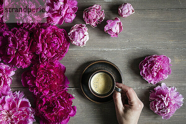 Hand of woman picking up cup of coffee surrounded by heads of pink blooming peony flowers