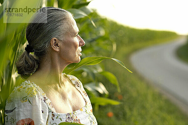 Ältere Frau steht vor einem Maisfeld und blickt in die Ferne
