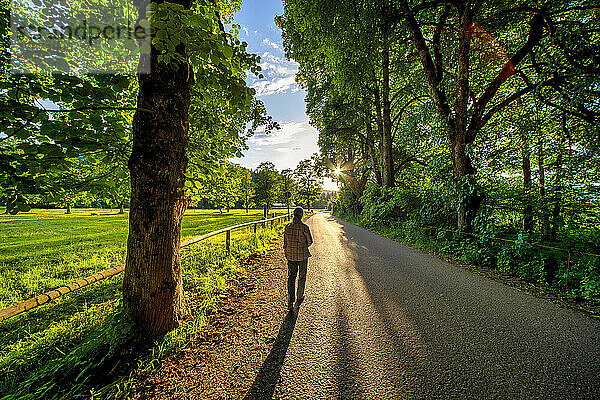 Senior woman walking on road amidst trees at sunset