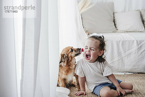 Hund leckt zu Hause das Gesicht eines kleinen Mädchens
