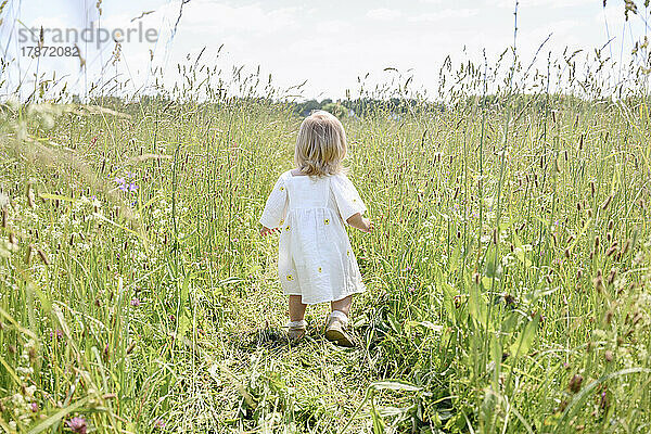 Mädchen geht an einem sonnigen Tag auf dem Feld zwischen Pflanzen spazieren