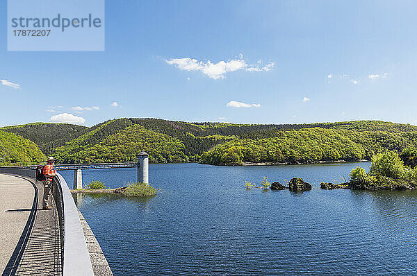 Älterer Mann steht am Geländer und blickt an einem sonnigen Tag auf den See  Nationalpark Eifel  Deutschland