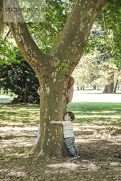 Junge und Großvater umarmen Baum im Park