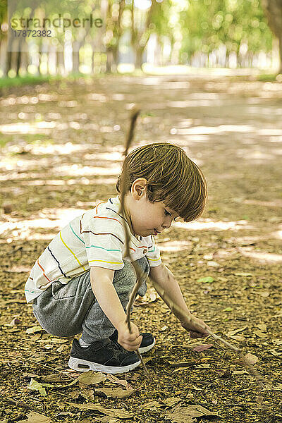 Netter Junge spielt mit Stock im Park
