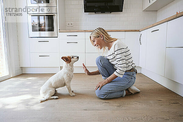 Lächelnde Frau gibt Hund in der heimischen Küche High-Five