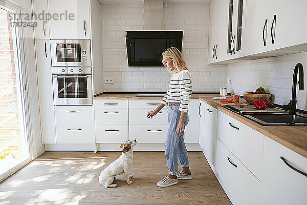 Frau füttert süßen Hund in heimischer Küche