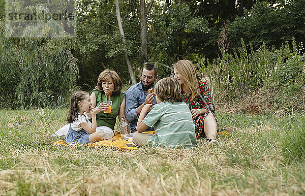 Glückliche Familie  die zusammen im Park isst