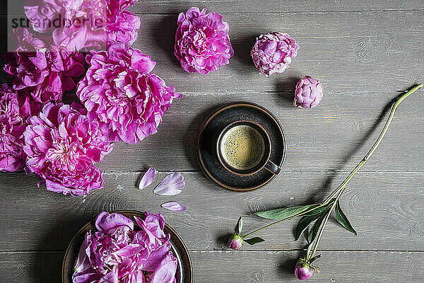 Studio shot of cup of coffee and heads of pink blooming peony flowers lying against wooden background