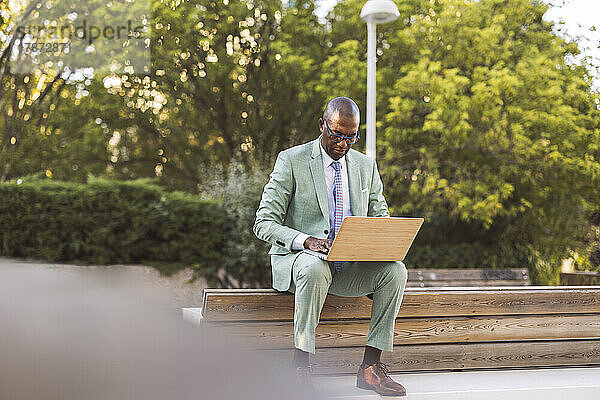 Reifer Geschäftsmann benutzt Laptop auf Bank im Park