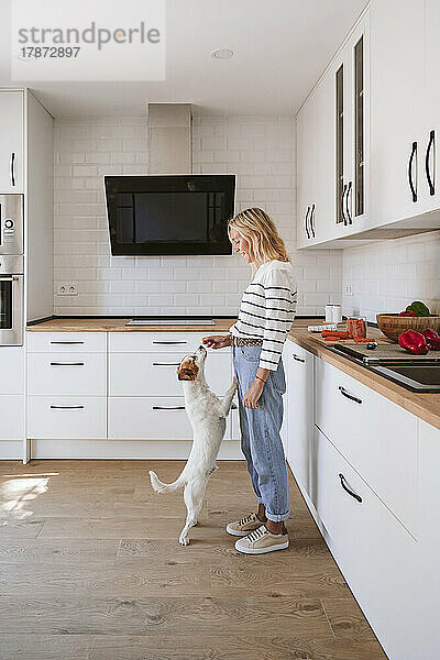 Junge Frau füttert Hund in heimischer Küche mit Futter