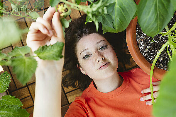 Teenager-Mädchen liegt auf Balkonboden neben Tomatenpflanze