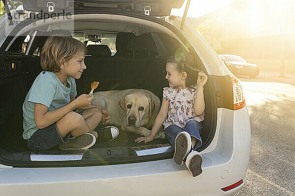 Glückliche Geschwister mit Hund  der im Kofferraum eines Autos sitzt