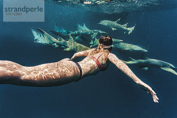 Frau schwimmt mit Ammenhaien im Meer
