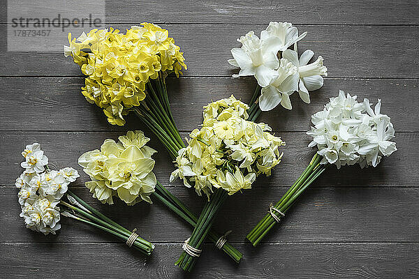 Studio shot of various daffodils tied into bouquets