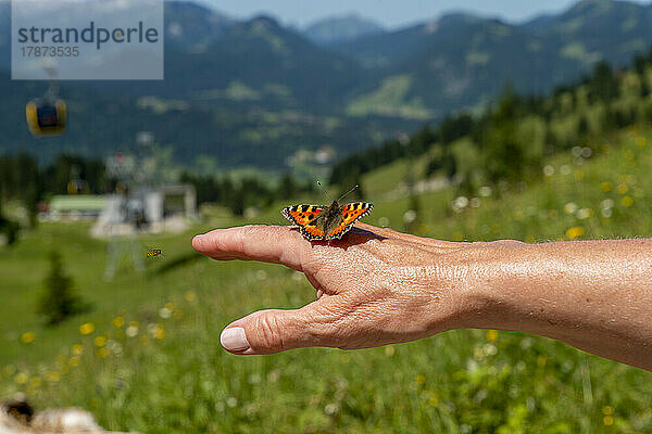 Schmetterling an der Hand einer älteren Frau mit Landschaft im Hintergrund