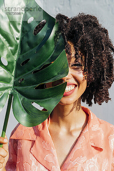 Glückliche junge Frau  die an einem sonnigen Tag ihr Gesicht mit einem Monstera-Blatt bedeckt