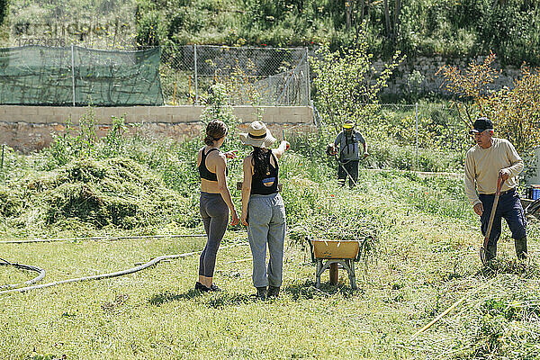 Landarbeiter diskutieren mit Kollegen  die an einem sonnigen Tag auf dem Feld arbeiten