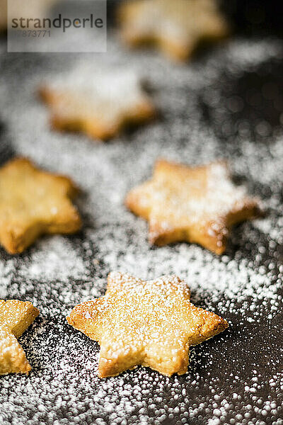 Studio shot of star shaped cookies with powdered sugar