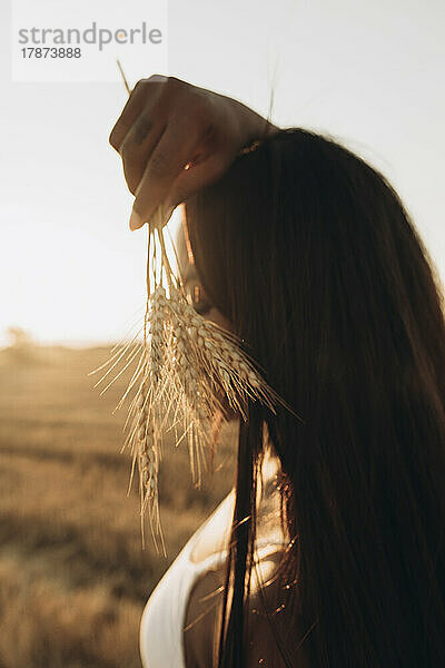 Frau hält bei Sonnenuntergang Weizenernte auf dem Bauernhof