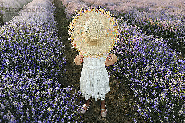 Mädchen versteckt Gesicht mit Hut und steht im Lavendelfeld