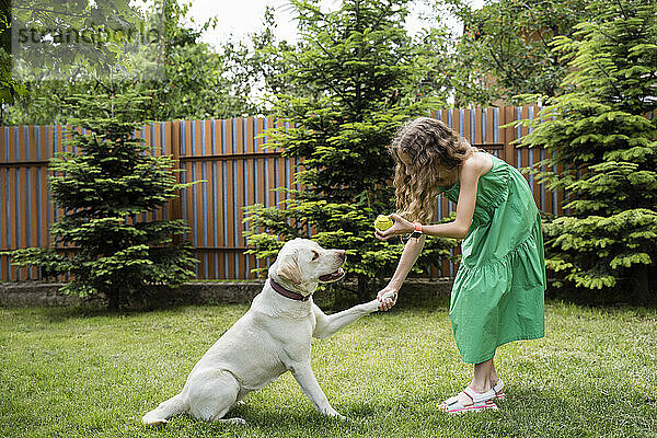 Mädchen zeigt Hund im Hinterhof Ball