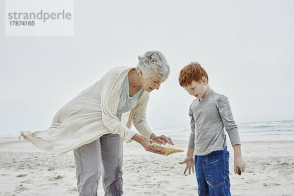 Großmutter und Enkel stehen am Strand und betrachten Muscheln