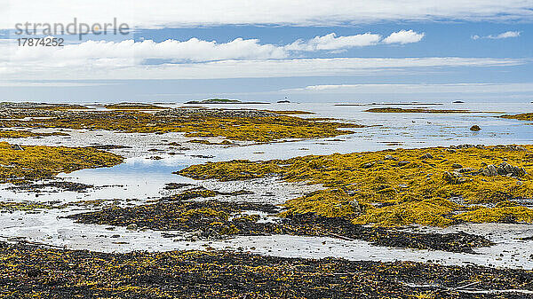 Norwegen  Nordland  Küste der Insel Andoya