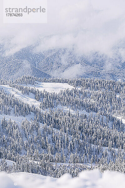 Malerische Aussicht auf schneebedeckte Bäume