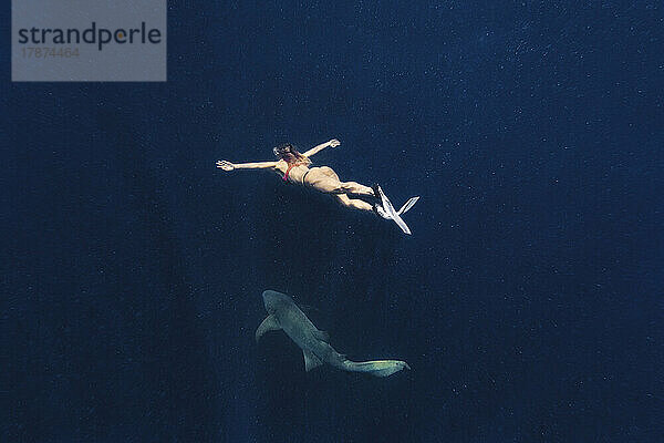 Frau schwimmt mit Hai im tiefblauen Meer