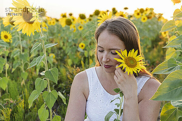 Frau hält Sonnenblume im Feld sitzend