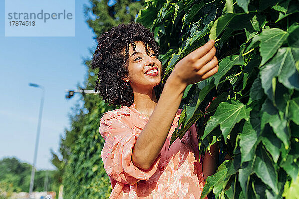 Happy young woman holding leaf on sunny day