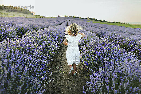Girl with blond hair walking in lavender field