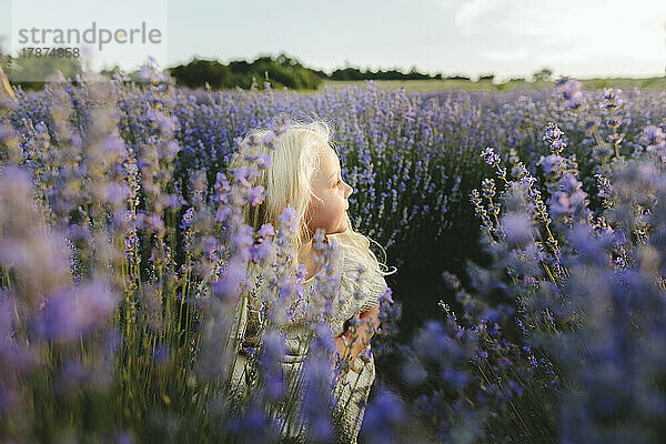 Girl with blond hair amidst lavender plants on field