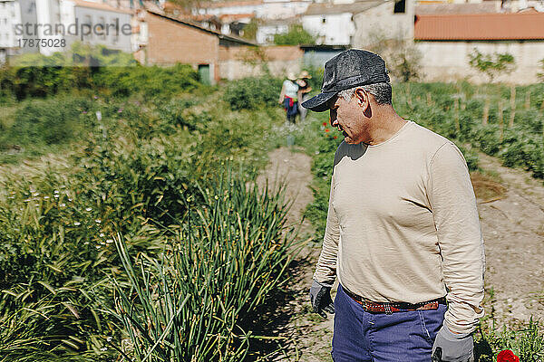 Reifer Landarbeiter mit Mütze blickt an einem sonnigen Tag auf Pflanzen