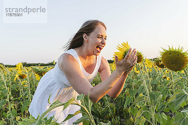 Woman screaming looking at sunflower on sunset