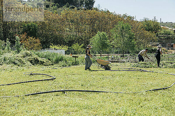 Landarbeiter arbeiten an einem sonnigen Tag auf dem Feld