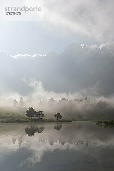 Germany  Bavaria  Shore of Lake Schmalensee shrouded in thick autumn fog with mountains barely visible in background