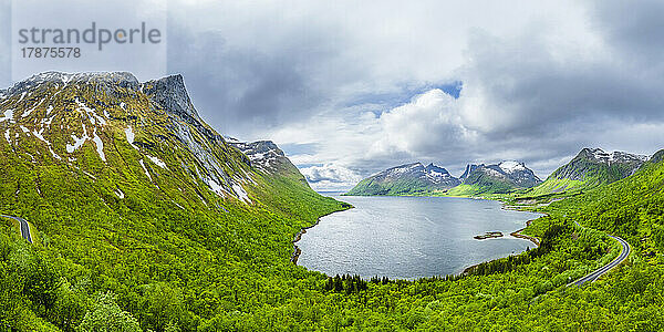 Norwegen  Troms und Finnmark  malerischer Blick auf die bewaldete Küste des Bergsfjords
