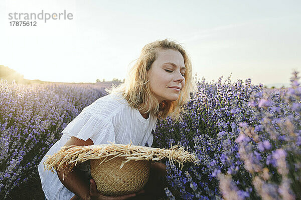 Woman smelling lavender plants on field at sunset