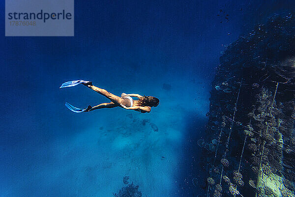 Adventurous woman diving underwater in sea