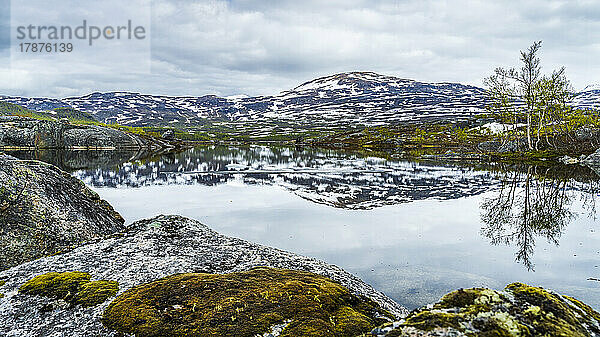 Norwegen  Nordland  Panoramablick auf den klaren Alpensee